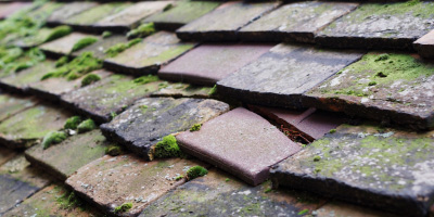 Burcot roof repair costs